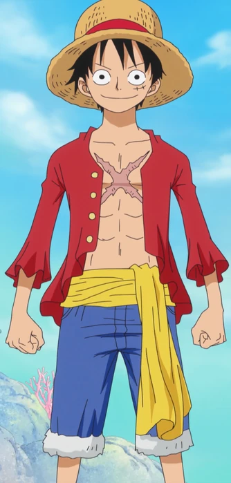 One Piece character card preview